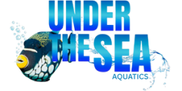 Under the sea aquatic